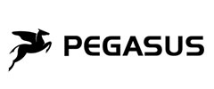 Pegasus